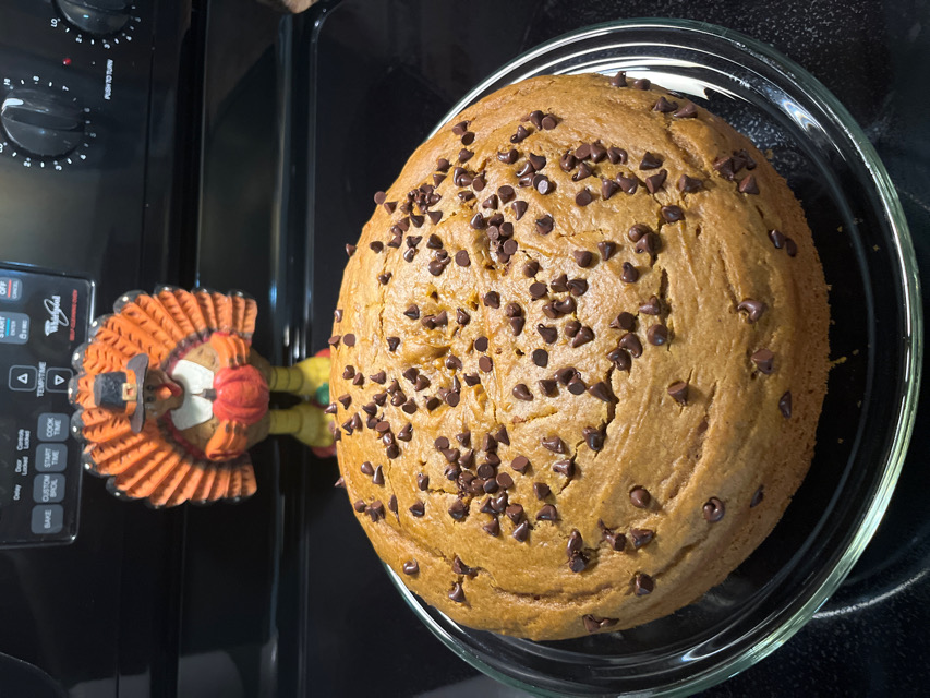 Chocolate Chip Pumpkin Spice Cake