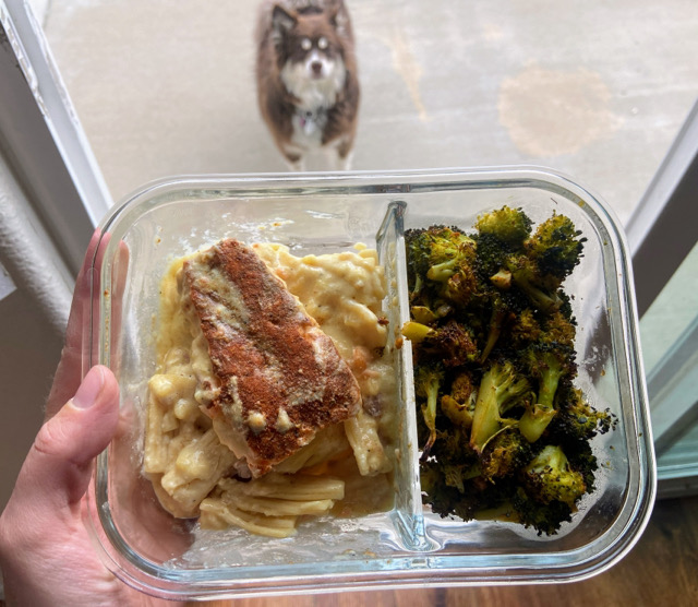 Lemon creamy pasta with salmon & broccoli