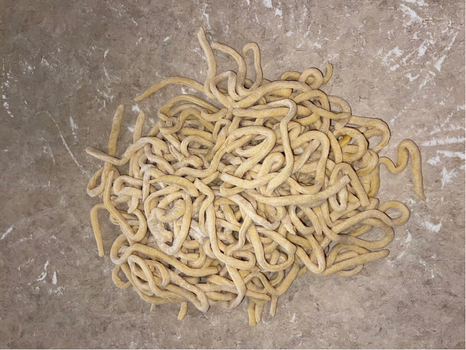 Homemade Egg Noodles (the easy way)
