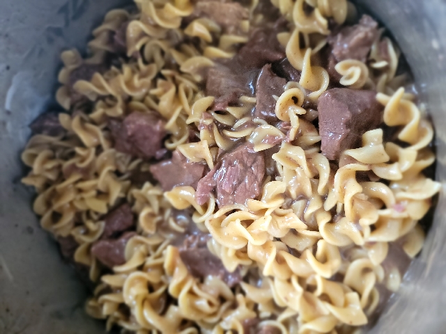 Instant Pot Beef & Noodles