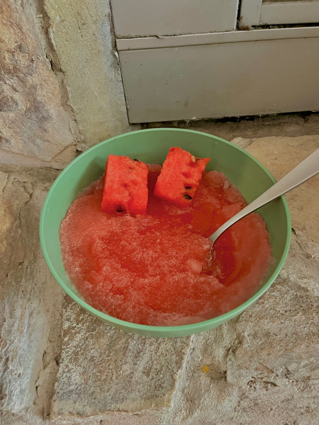 Watermelon slushie🍉