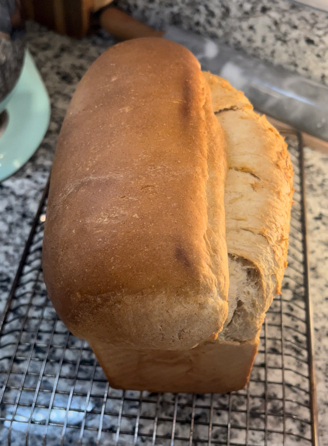 Honey wheat loaf (dairy free)