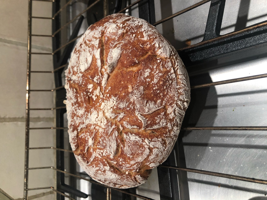 Crusty French Bread