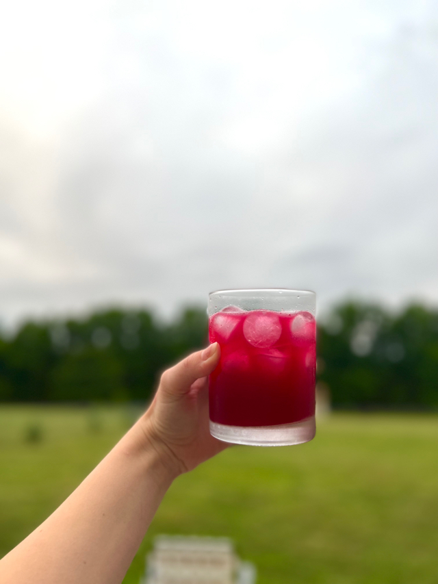 Blueberry Margarita