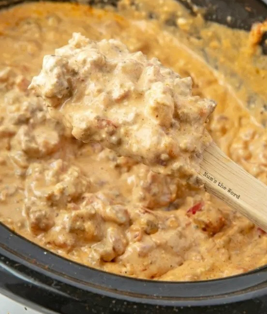 Spicy Sausage Dip