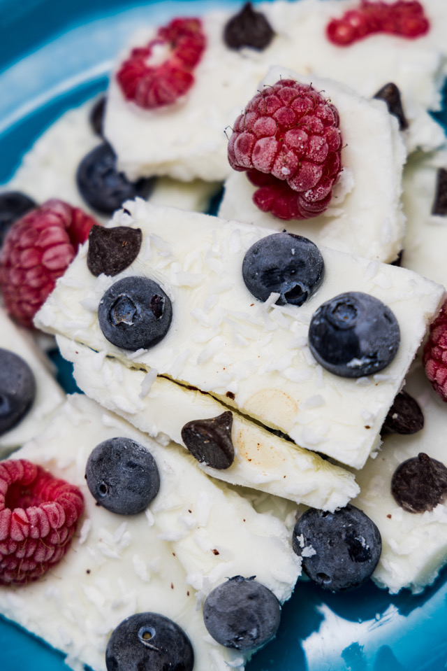 Easy Frozen Yogurt Bars