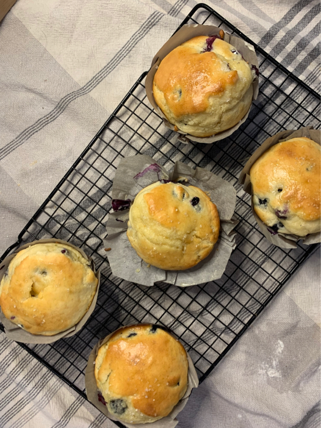 Blueberry Muffins