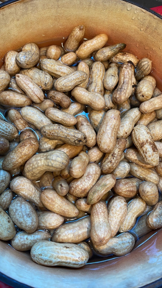 Boiled Peanuts