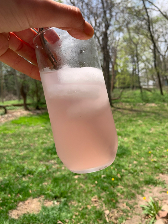 Rhubarb Lemonade