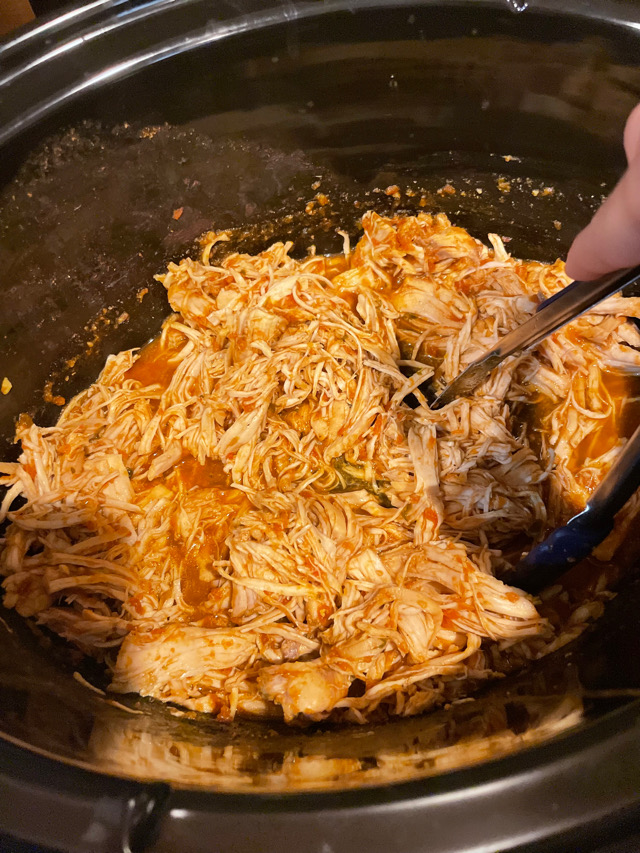 Salsa Chicken